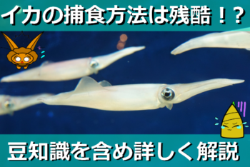 Thumbnail of post image 191